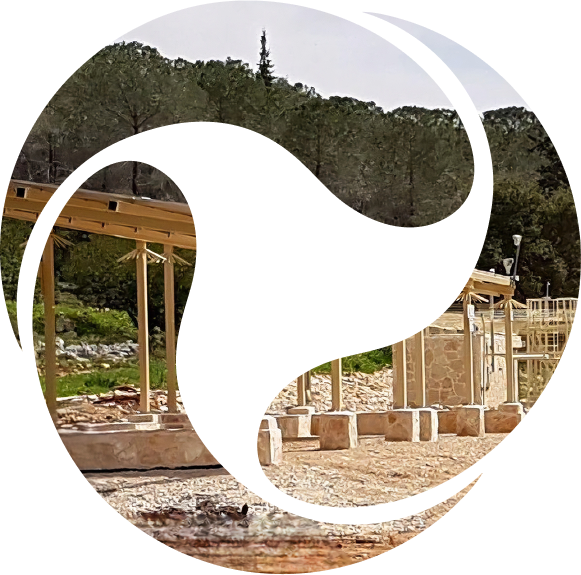 ניהול פרויקטים